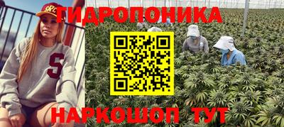 ПСИЛОЦИБИНОВЫЕ ГРИБЫ Будённовск