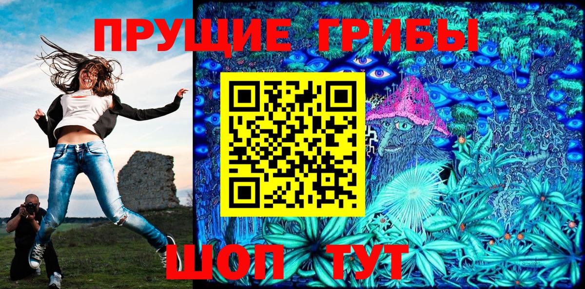 магазин продажи наркотиков  Вход с VPN  Галлюциногенные грибы Magic Shrooms  Курчалой  Псилоцибиновые грибы Magic Shrooms 