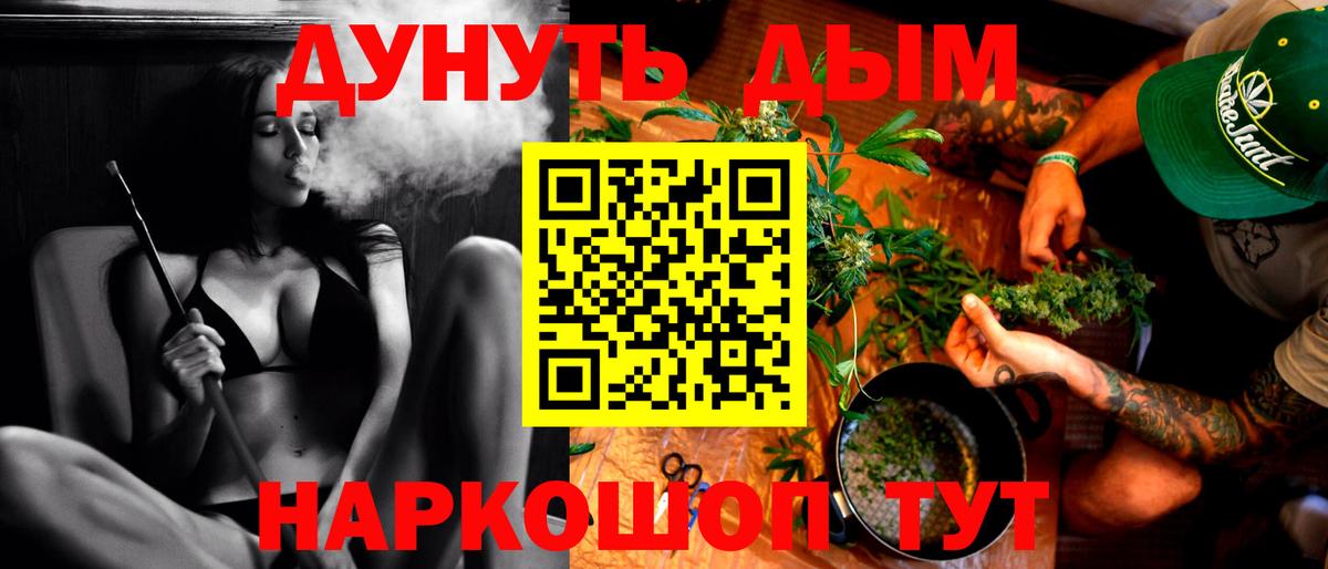 Шишки марихуана Amnesia Курчалой